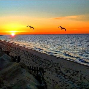 Meet your Posher, Debra